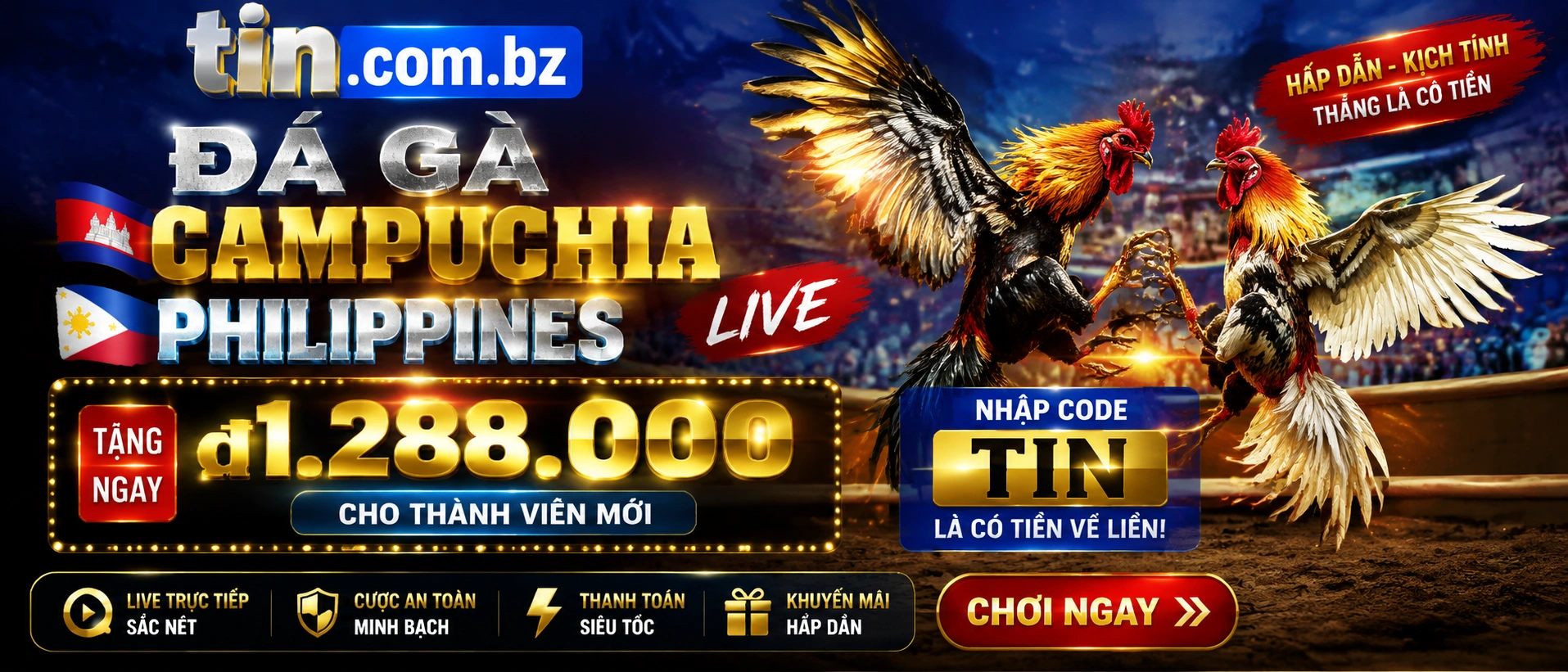 Đá Gà trực tiếp trên nền tảng giải trí tin.com.bz