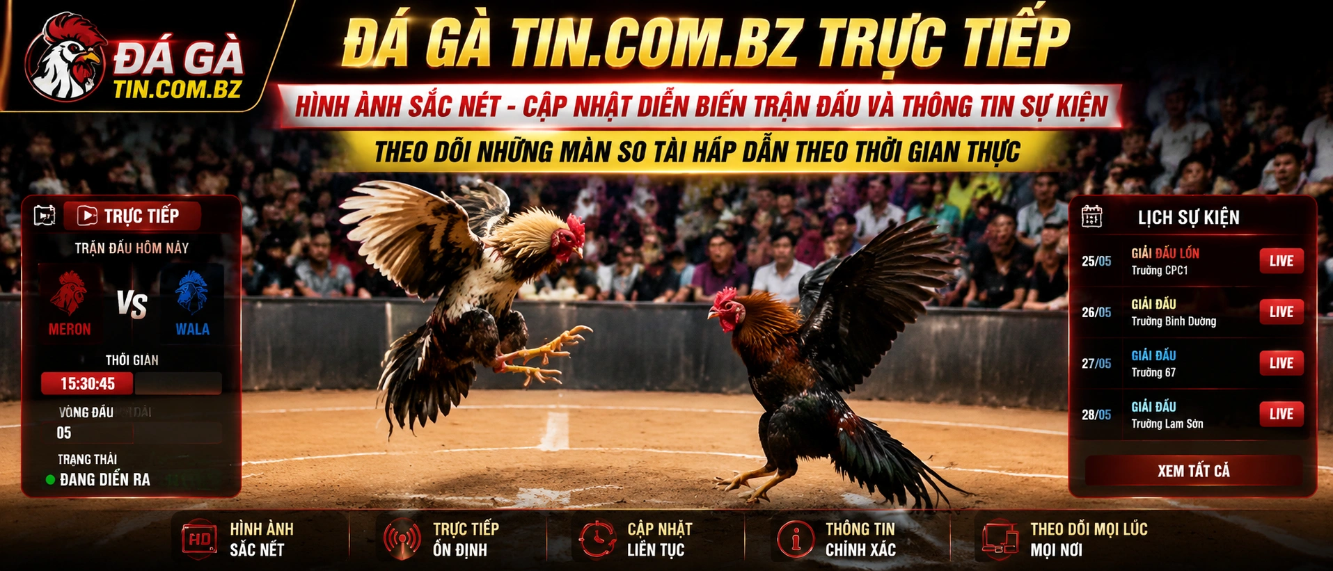 Đá Gà Campuchia trong khu vực nội dung nổi bật